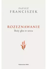 Rozeznawanie. Boy gos w sercu