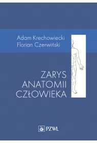 Zarys anatomii cz�owieka