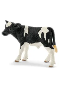 Ciel� rasy Holstein