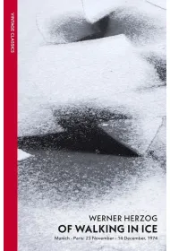 Of Walking In Ice wer. angielska