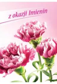 Art Nuvo Karnet B6 imieninowy FF1264