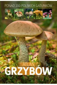 Atlas grzyb�w (ponad 200 polskich gatunk�w)