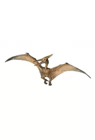 Pteranodon
