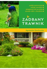 Zadbany trawnik