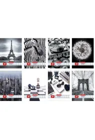Herlitz Zeszyty A5 Black&White kratka 60 kartek 5 szt.
