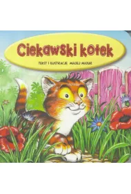Ciekawski kotek