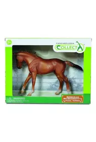 Ko Deluxe Klacz thoroughbred kasztanowa