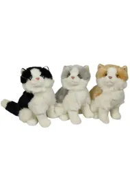 Koty 30cm MIX Dubi