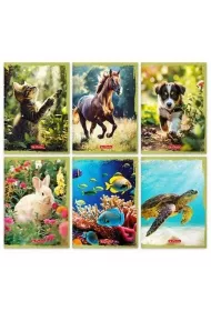 Herlitz Zeszyt A5/16K linia podwjna Animals (20szt)