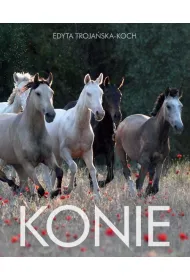 Konie