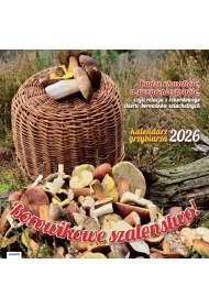 Avanti Kalendarz albumowy du�y 2026 Grzybiarza KAD-6