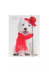 Pan Dragon Teczka z gumk� papierowa A4 Pets