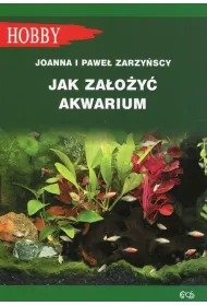 Jak za�o�y� akwarium?