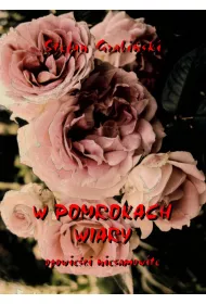 eBook W pomrokach wiary. Opowieci niesamowite pdf
