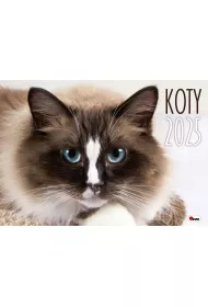 Kalendarz 2025 Koty