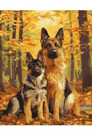 Ideyka Malowanie po numerach - Le�ni przyjaciele 40x50cm