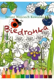 Biedronka