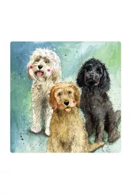 Magnes FM229 Psy Cockapoo