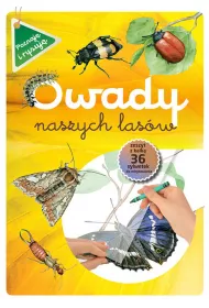Poznaje i rysuj�. Owady naszych las�w