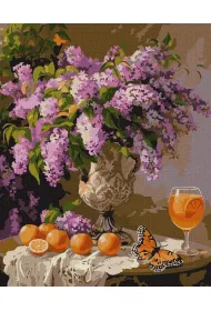 Ideyka Malowanie po numerach - Lawendowy aromat 40x50cm