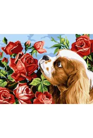Twoje Hobby Malowanie po numerach - Piesek i r�e 30x40cm