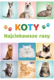 Koty. Najciekawsze rasy
