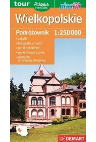 Wielkopolskie. Podr�ownik 1:250 000. Polska niezwyk�a. Plastik /2024