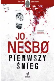 Pierwszy nieg