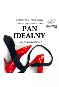 Audiobook Pan Idealny mp3