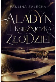 Aladyn i Ksi�niczka Z�odziei