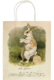 Skona Ting Torebka ozdobna A5 STBAG171 Wielkanoc Kr�liczek
