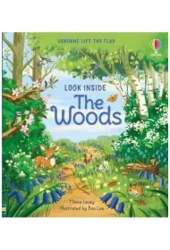 Look Inside the Woods