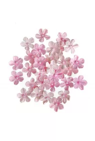 dpCraft Kwiaty papierowe z pere�k� 2cm