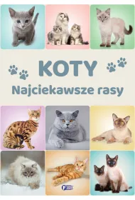 Koty. Najciekawsze rasy