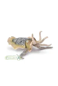 Collecta. M�twa pospolita