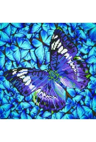 Dante Haft diamentowy - Adults Flutter By Mauve 38x38cm