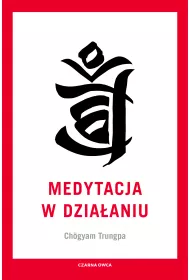 Medytacja w dziaaniu
