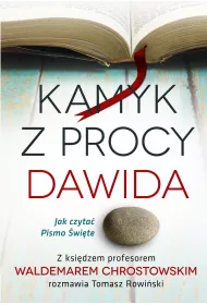 eBook Kamyk z procy Dawida mobi epub
