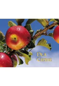 Dla Ciebie. Pere�ka 120