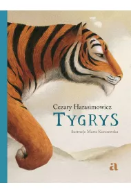 Tygrys