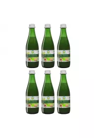 Bio Food Seler naciowy 100% ekologiczny kiszony zgrzewka 6 x 300 ml Bio