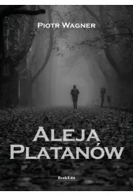 Aleja Platan�w
