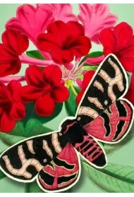 Madame Treacle Karnet B6 POP-UP z kopert� Czerwony motyl