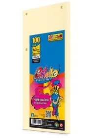 Pastello Przek�adka do segregatora 1/3 A4 100K IT100 be�