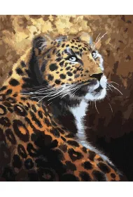 Ideyka Malowanie po numerach - Drapieznik 40x50cm