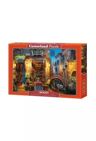 Puzzle 3000 el. Nasze specjalne miejsce w Wenecji Castorland