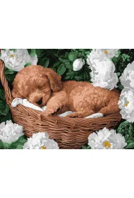 Ideyka Malowanie po numerach - �pi�cy pudel 30x40cm