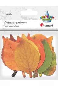 Titanum Dekoracje kartonowe Li�cie mix 30 szt.