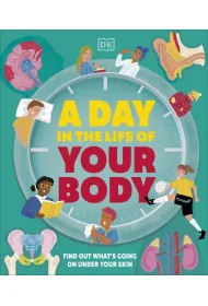 Day in the Life of Your Body