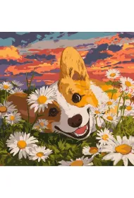 Ideyka Malowanie po numerach - Corgi w stokrotka 40x40cm